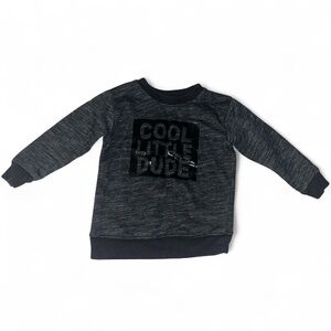Garnimals ‘Cool Little Dude’ Dark Grey Sweater SIZE: 2T  (VG)